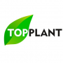 ТопПлант, интернет-магазин комнатных растений