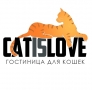 CAT IS LOVE