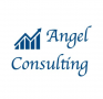 ANGEL CONSULTING