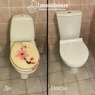 Замена унитаза Под Ключ от польского производителя Cersanit модель: Nature New Горизонтальный Выпуск Безободковый с доставкой по Москве 