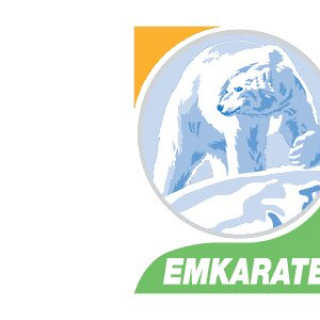 ГЕОФРОСТ — поставщик синтетических холодильных масел Emkarate в России